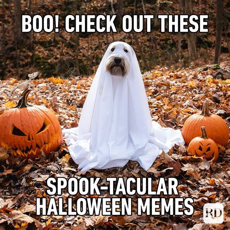 cute halloween memes